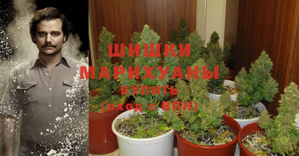 экстази Алзамай